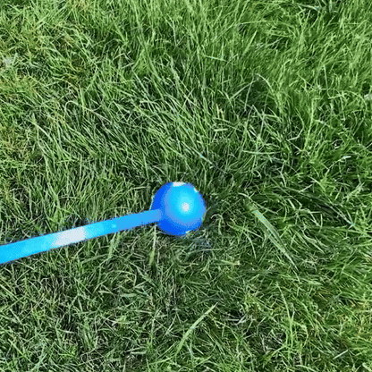 Lanceur de balle pour chien | Sans Fatigue