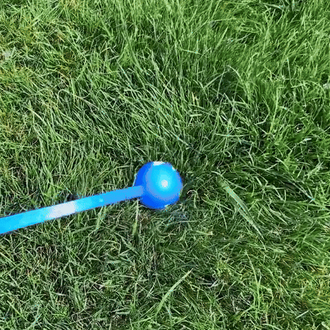 Lanceur de balle pour chien | Sans Fatigue