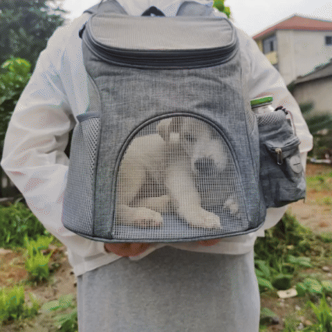 Sac à dos pour chien | Confort et Sécurité