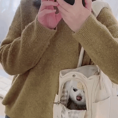 Sac de transport pour chien | Confort et Sécurité