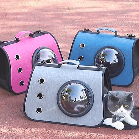 Sac transport chat | Comfort Voyageur