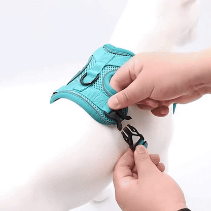 Harnais pour chien | Confort Sécurisé