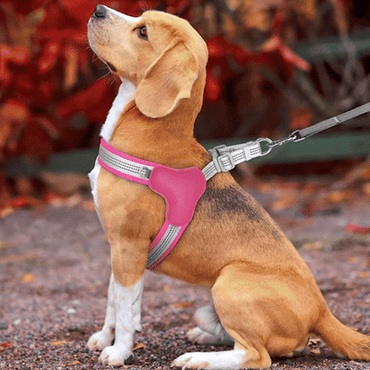 Harnais pour chien | Confort Anti-Traction