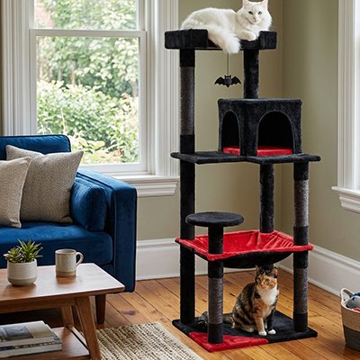 Robuste Design Arbre à Chat 