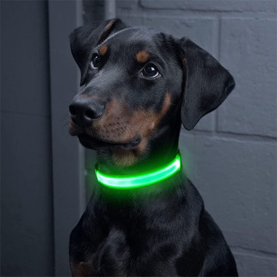 Sécurité Nocturne Colliers lumineux pour chiens