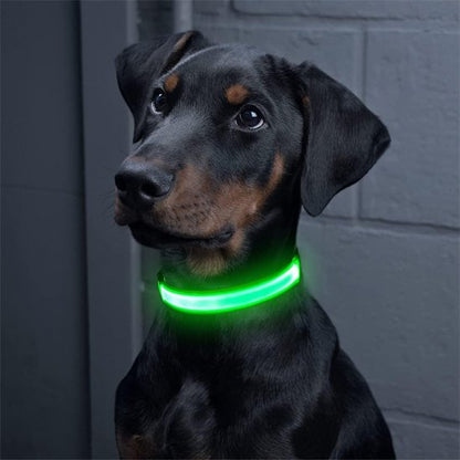 Sécurité Nocturne Colliers lumineux pour chiens