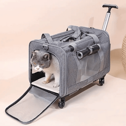 Sac transport chat | VoyagSecur