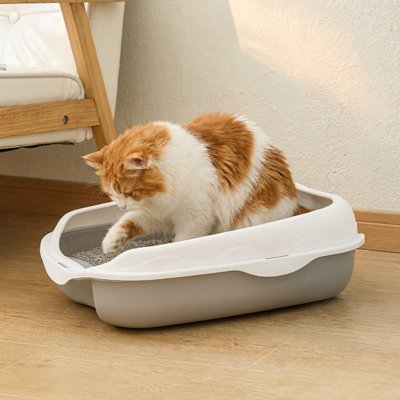  Sans Odeurs Bac à litière Chat gris