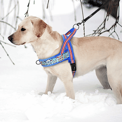 harnais chien anti traction | Monka