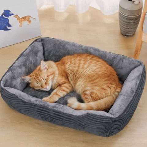 Panier chat | Confortable Design