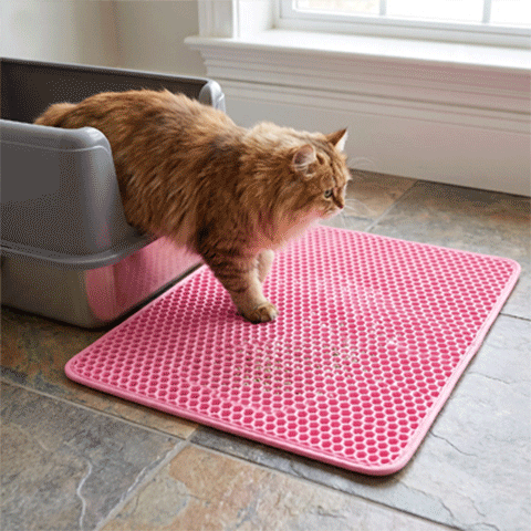 Tapis litière pour Chat | SiliPure
