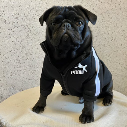 Tendance Confort Pull chien noir