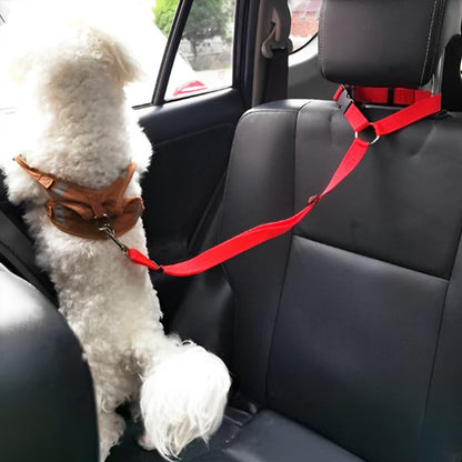 Ultra-Résistante rouge Laisse chien