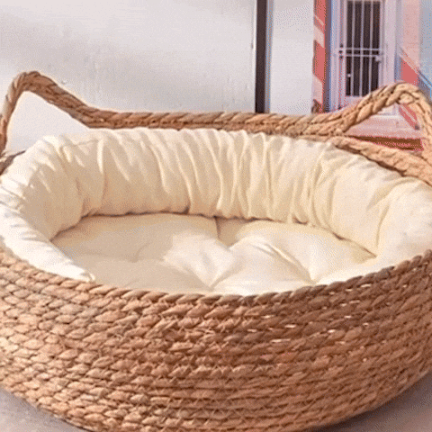 Lit pour chat | Rotin Naturel