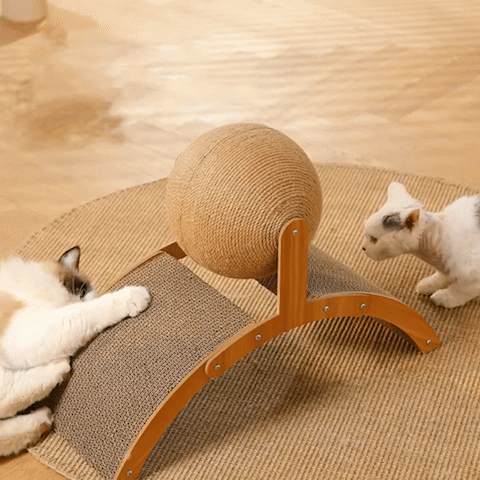 Griffoir | ProtectPlus