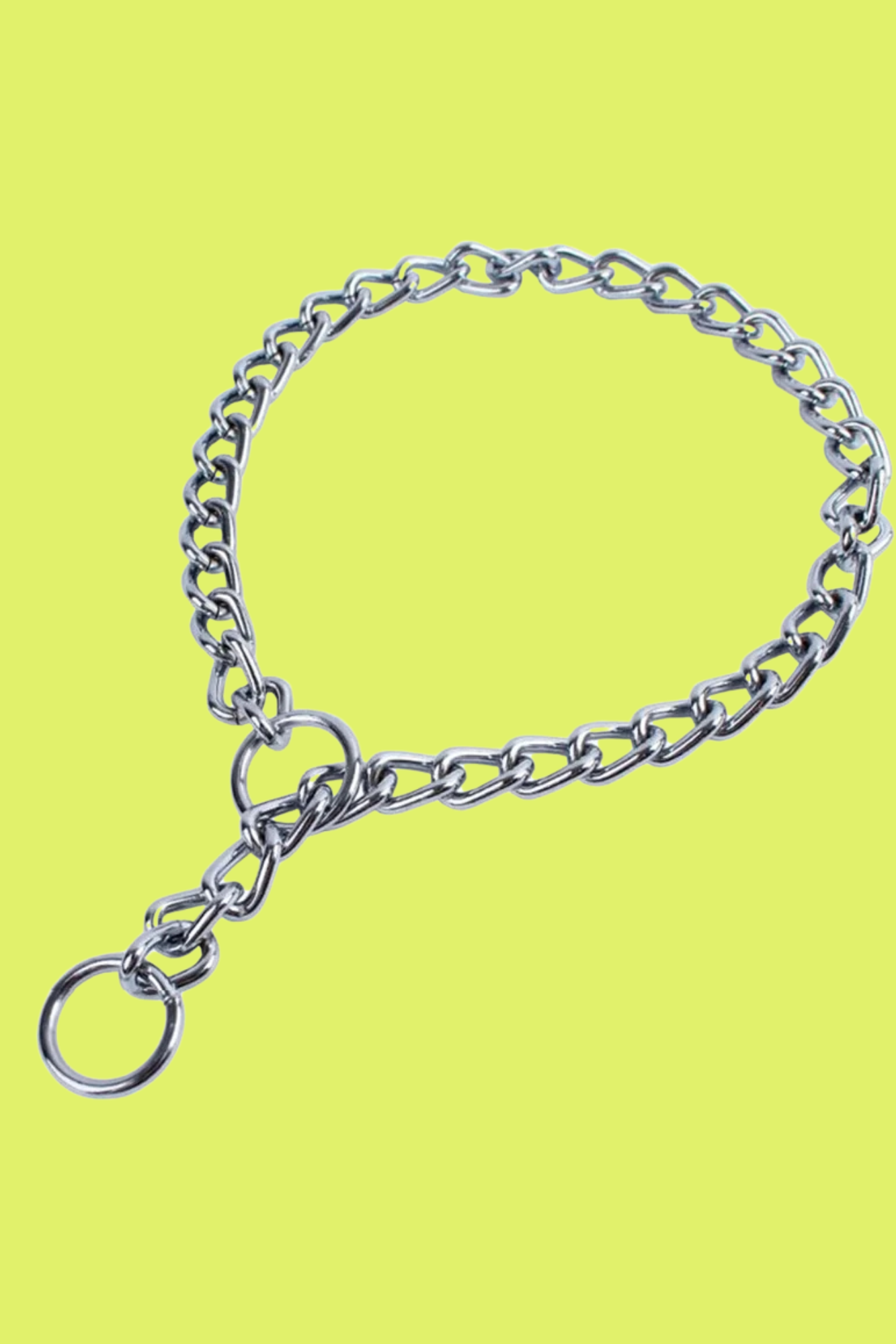 acier collier de dressage
