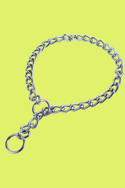 acier collier de dressage