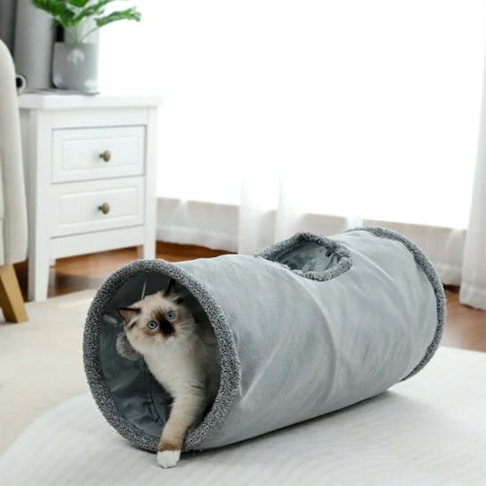 adorable chat tunnel