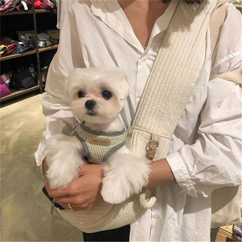 adorable chien sac transport chien