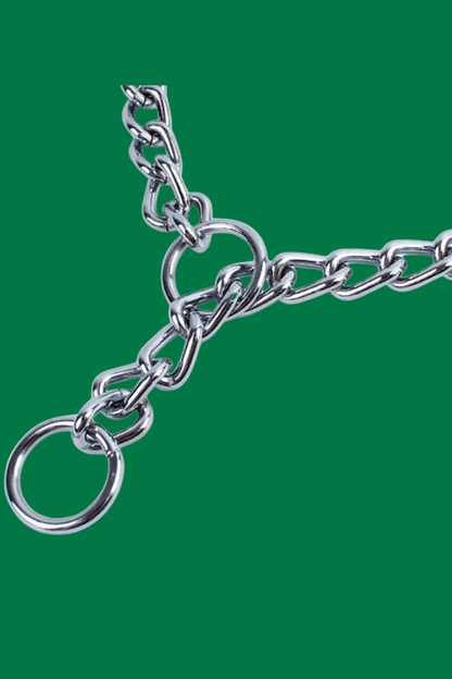 anneau collier de dressage pour chien