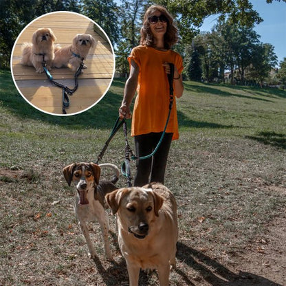 anti Double laisse pour chien