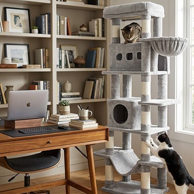 Arbre à Chat Design Robuste
