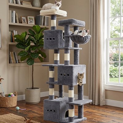 Arbre à Chat bleu Paradis Félin