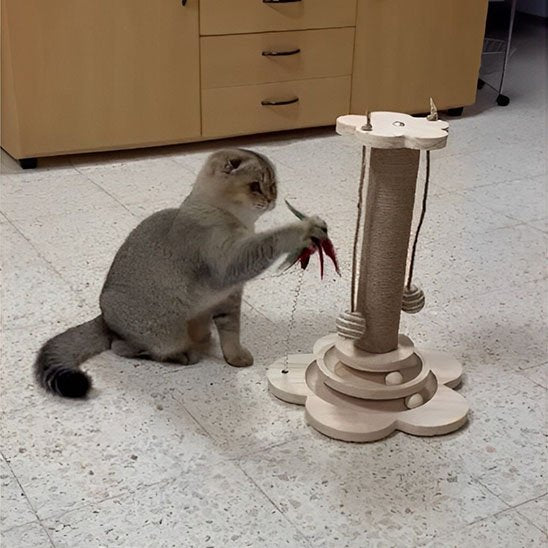 Arbre a chat en bois heureux