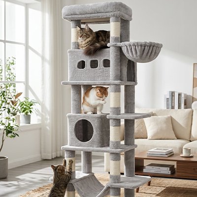 Arbre à Chat gris Design Robuste