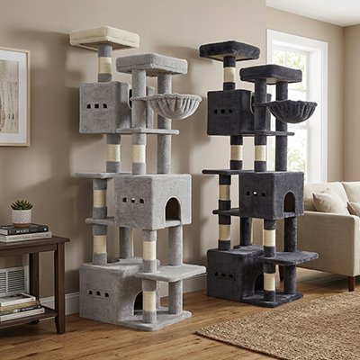 Arbre à Chat gris bleu