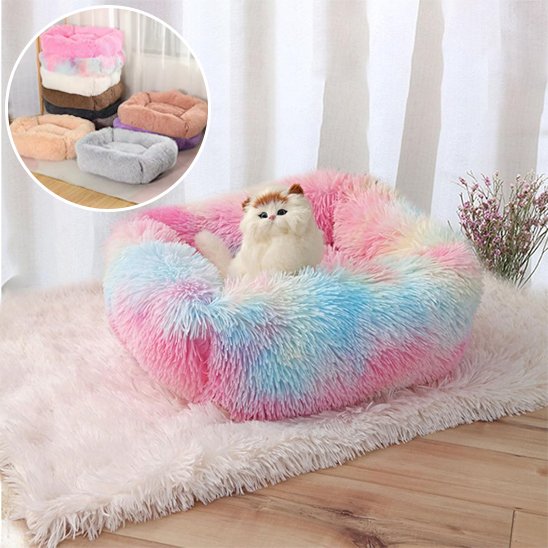 arc en ciel Panier Chat