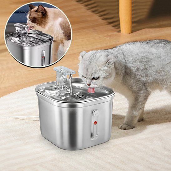 argent Fontaine a eau chat