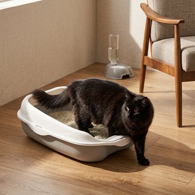 Bac à litière Chat  Sans Odeurs