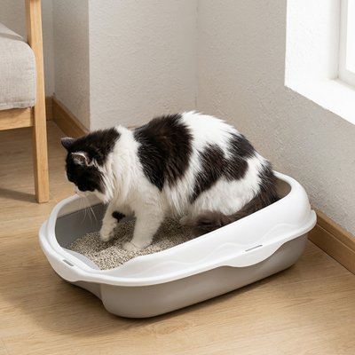 Bac à litière Chat gris  Sans Odeurs