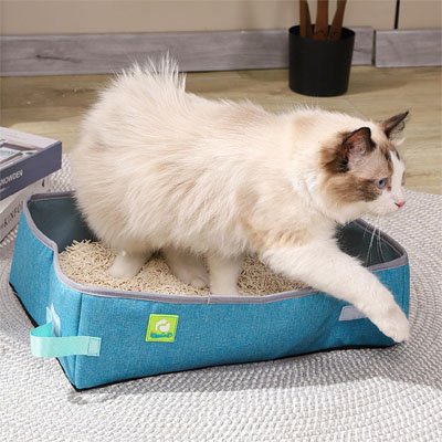 Bac bleu à litière Chat