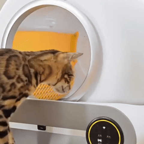 Litière Chat Automatique Connectée | FeliTech
