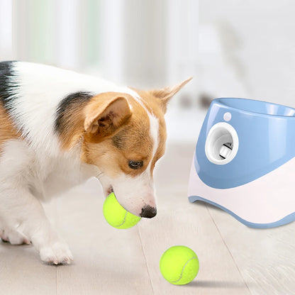 balle chien lanceur