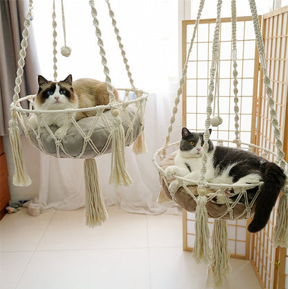 beau hamac pour chat