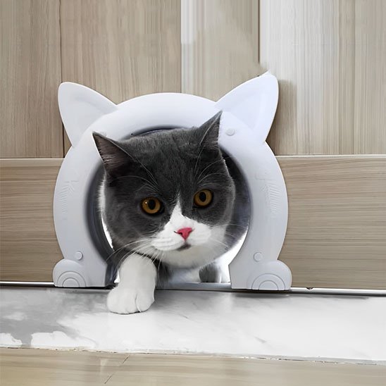 blanc chatiere tete chat