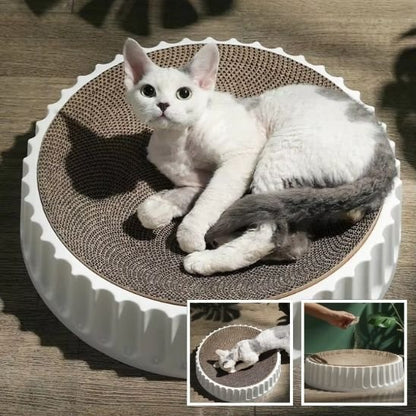 blanc Griffoir chat