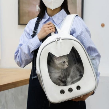 blanc sac a dos chat