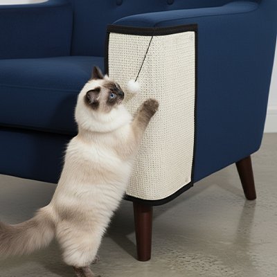 blanc Tapis griffoir Chat