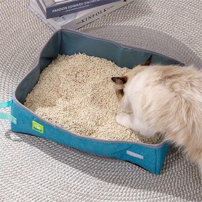 bleu anti odeurs Bac à litière Chat
