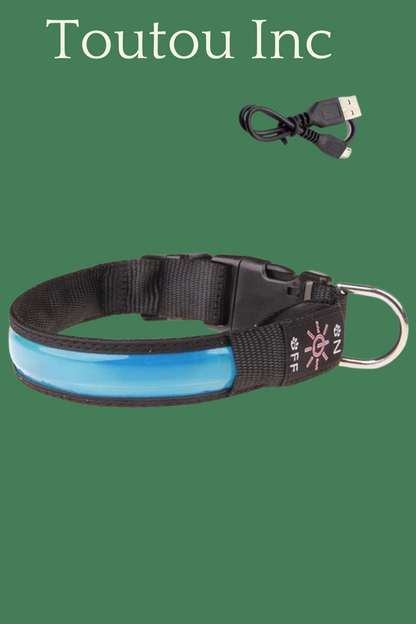 bleu collier lumineux