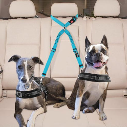 bleu Double laisse pour chien
