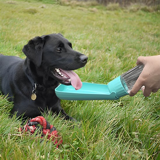 bleu Gourde chien Portable étanche