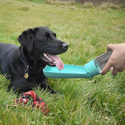 bleu Gourde chien Portable étanche