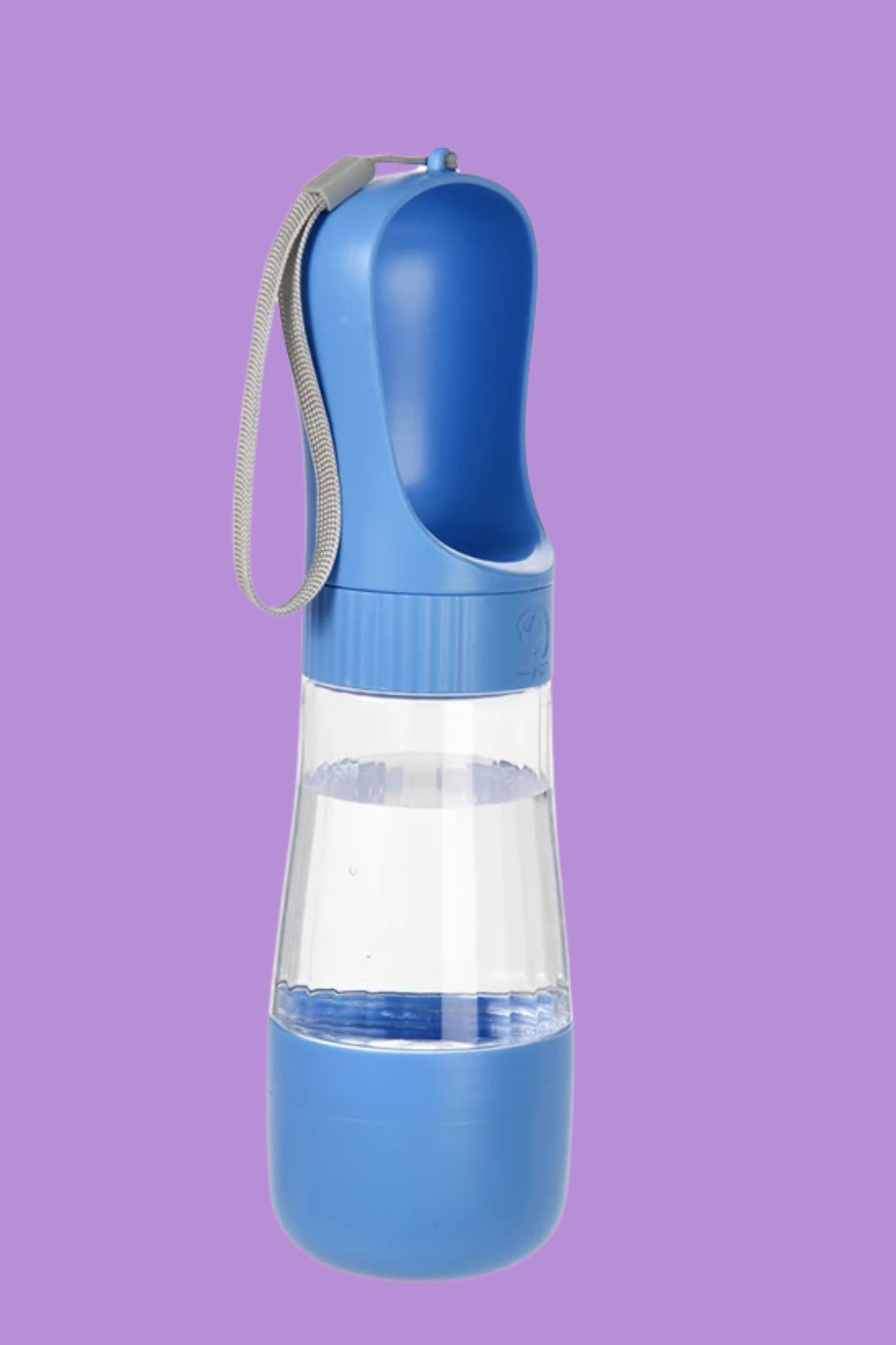 bleu gourde chien