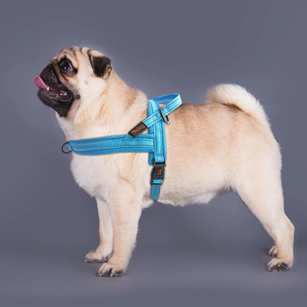 bleu harnais chien anti traction