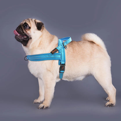 bleu harnais chien anti traction